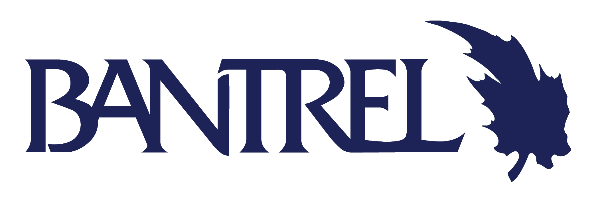 Bantrel Logo (Transparent Background)